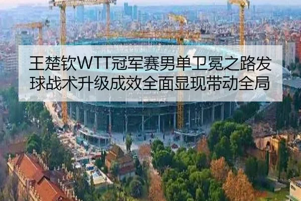 wang-chu-qin-guan-jun-sai-nan-dan-wei-mian-zhi-lu-fa-qiu-zhan-shu-sheng-ji-cheng-xiao-quan-mian-xian-xian-dai-dong-quan-2-271.jpg