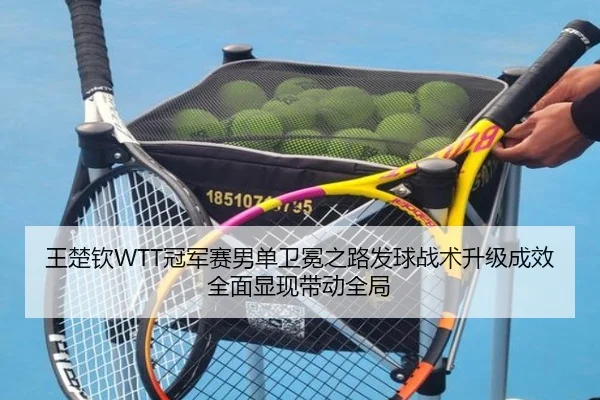 wang-chu-qin-guan-jun-sai-nan-dan-wei-mian-zhi-lu-fa-qiu-zhan-shu-sheng-ji-cheng-xiao-quan-mian-xian-xian-dai-dong-quan-3-651.jpg