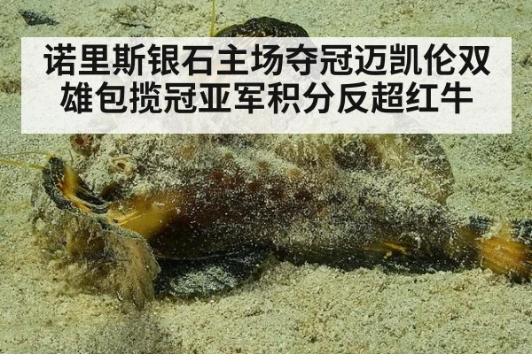 诺里斯银石主场夺冠迈凯伦双雄包揽冠亚军积分反超红牛